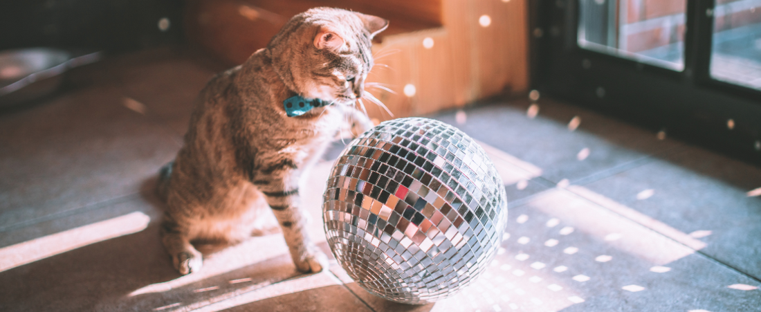 Smart Lighting und Astrologie: Beleuchtung passend zu deinem Sternzeichen