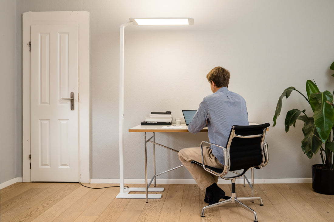 LED-Arbeitszimmerbeleuchtung für Konzentration & Komfort