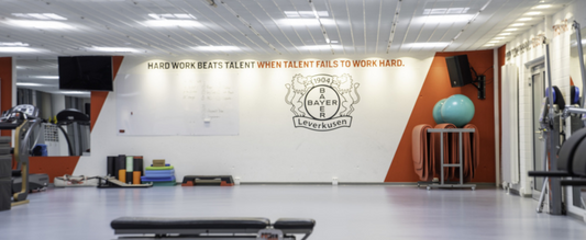 Nachhaltige LED Beleuchtung: Eine leuchtende Zukunft mit LEDVANCE und Bayer Leverkusen