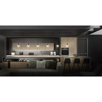 LEDVANCE TRACKLIGHT Adapter für Pendelleuchte schwarz-LEDVANCE Shop