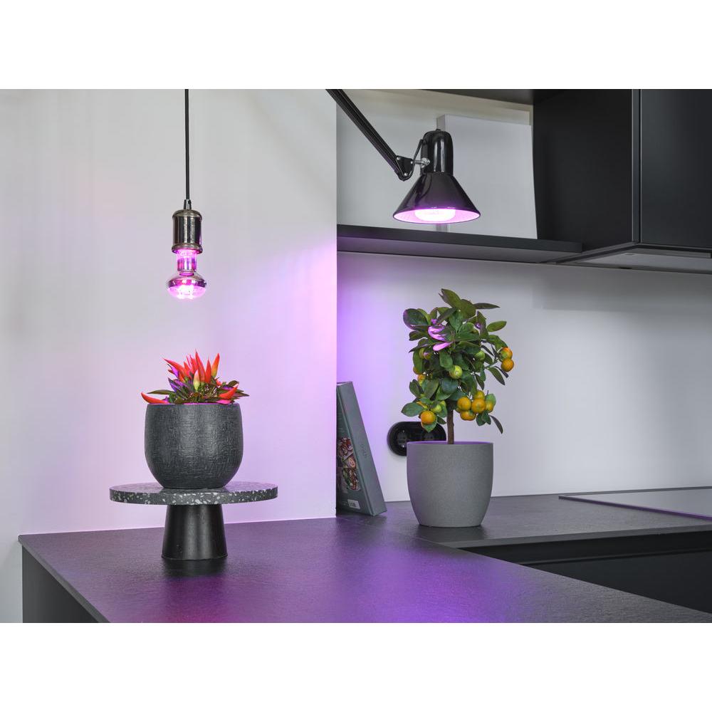 OSRAM LED STAR GROW Pflanzlicht, 20W, Klar, E27-LEDVANCE Shop