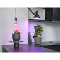 OSRAM LED STAR GROW Pflanzlicht, 20W, Klar, E27-LEDVANCE Shop