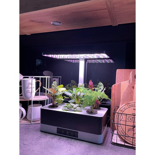 LEDVANCE Indoor Garden KIT PRO Anzuchtsystem 36cm inkl. Pflanzenlicht 220…240V 24W / 3600K-Pflanzlichter-LEDVANCE Shop