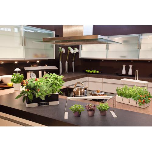 LEDVANCE Indoor Garden KIT PRO Anzuchtsystem 36cm inkl. Pflanzenlicht 220…240V 24W / 3600K-Pflanzlichter-LEDVANCE Shop