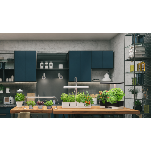 LEDVANCE Indoor Garden KIT PRO Anzuchtsystem 36cm inkl. Pflanzenlicht 220…240V 24W / 3600K-Pflanzlichter-LEDVANCE Shop