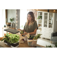 LEDVANCE Indoor Garden KIT PRO Anzuchtsystem 36cm inkl. Pflanzenlicht 220…240V 24W / 3600K-Pflanzlichter-LEDVANCE Shop