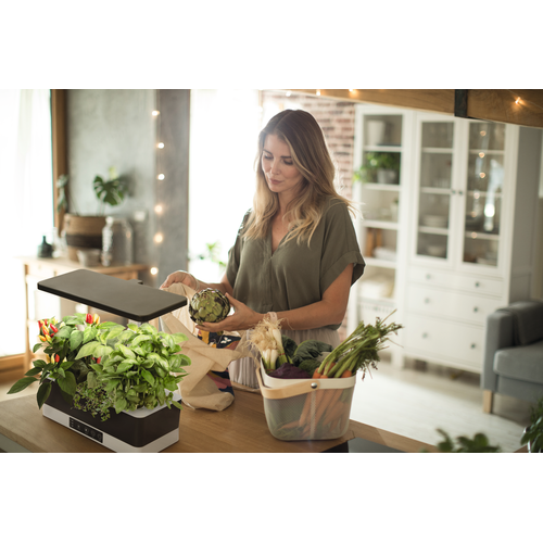 LEDVANCE Indoor Garden KIT PRO Anzuchtsystem 36cm inkl. Pflanzenlicht 220…240V 24W / 3600K-Pflanzlichter-LEDVANCE Shop